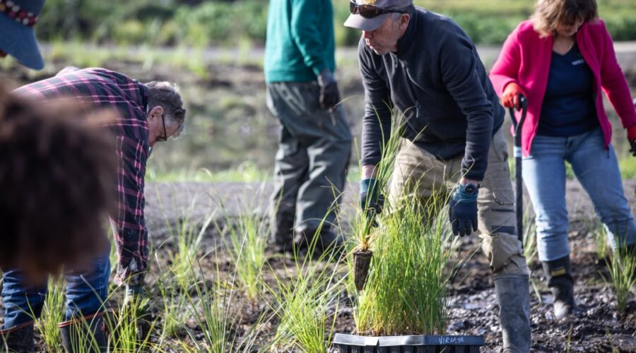 A Greener Future: Community Planting Day Enhances Lawrence Oliver Park