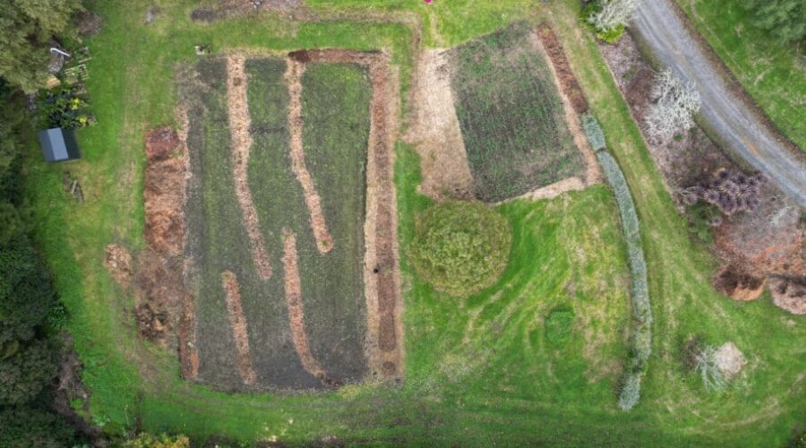 From Lawn to Larder: Te Puna Food Forest Installation