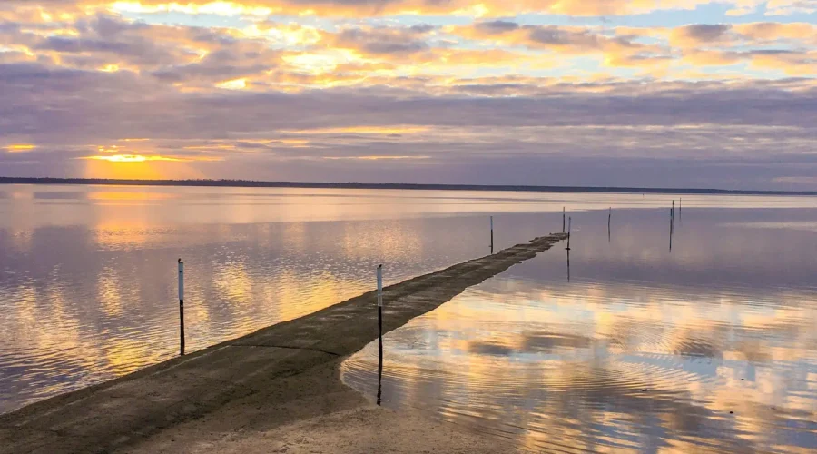 Capture the Heart of Katikati: Your Photos Could Grace the 2026 Calendar!