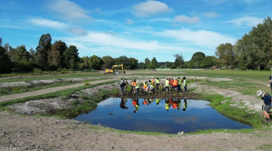 Community Planting Day Transforms Lawrence Oliver Park