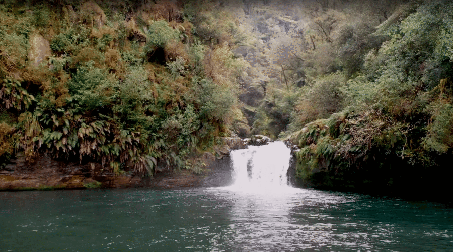 Discover Te Puke’s Hidden Gem: Raparapahoe Falls!