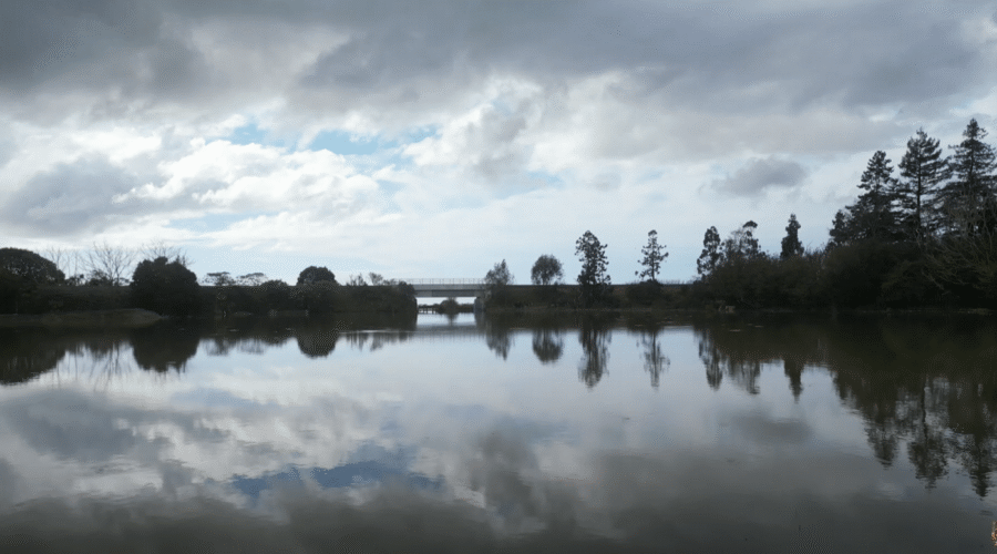 Te Puke Breathes Sigh of Relief as Floodwaters Recede, Revealing Impact of Intense Rain