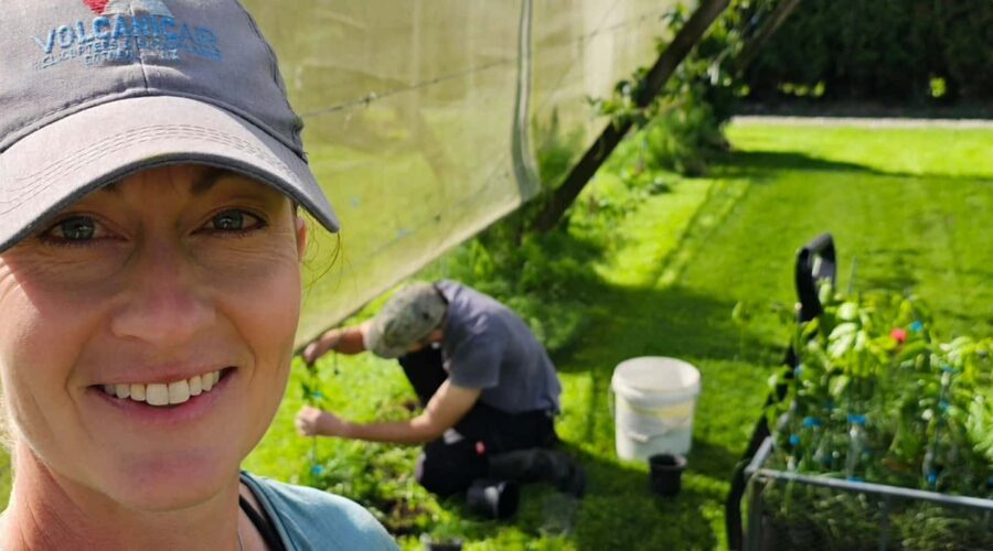 Bay Tropics: A Tauranga Orchard Inspiring Sustainable Growth