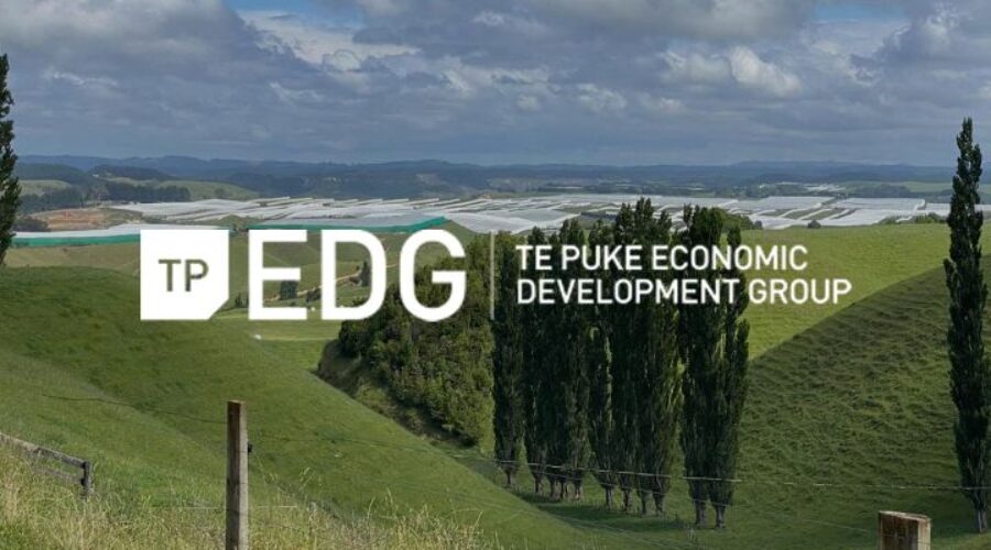 The Engine Room of the Bay of Plenty: How Te Puke Economic Development Group Fuels a Thriving Community