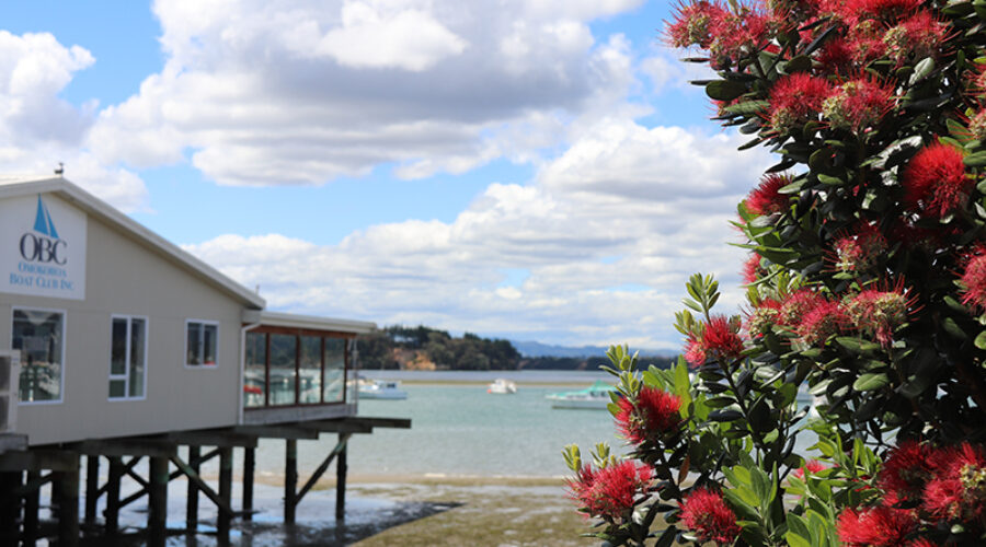 Discover Ōmokoroa: From Sleepy Seaside to Thriving Coastal Hub