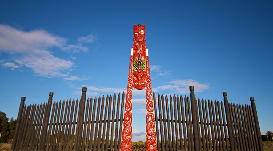 Discover Paengaroa: A Rural Heartland with a Global Beat