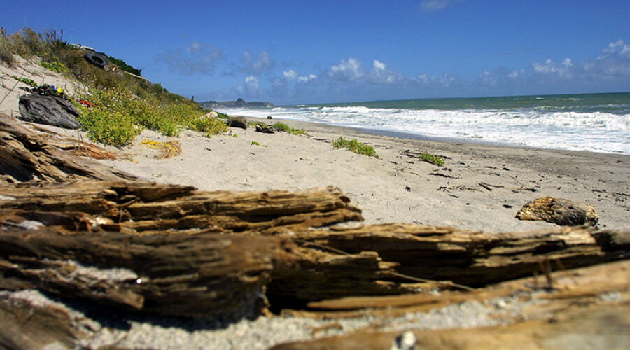 Discover Pukehina: A Coastal Gem with a Dual Personality