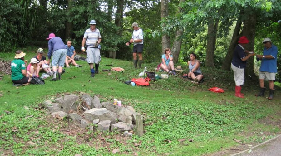 Weeding for Wildlife: Help Restore Kotukutuku Gully!