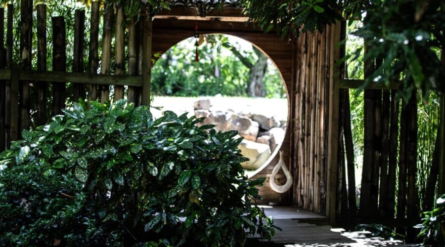 Kiwifruit Capital: A Glimpse Beyond the Orchard Gate