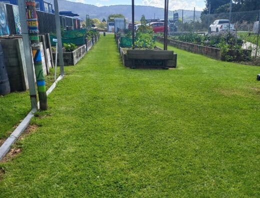 Ten Years Growing! Celebrate the Te Puke Community Garden’s 10th Birthday with High Tea